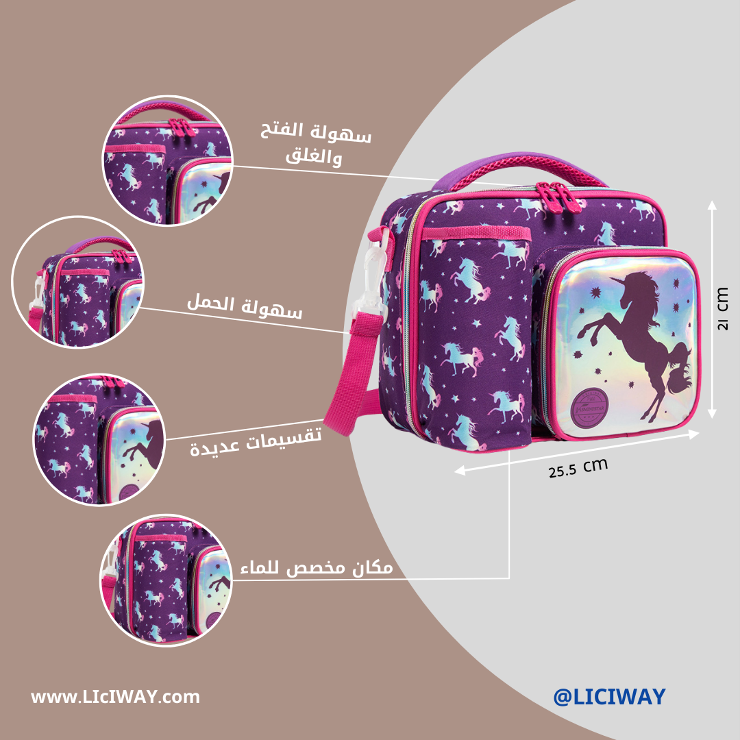 Lunch Bag (Flying Pony Unicorn)